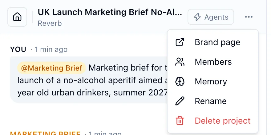 The project menu